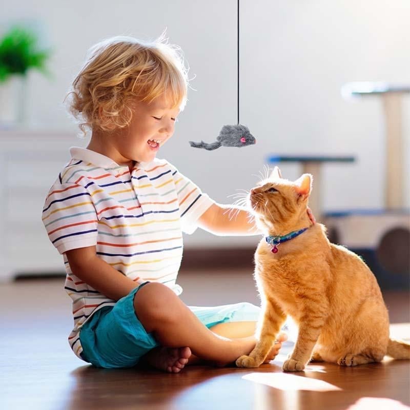 Hjemix | Hengende Dør Bounce Mus Katt Leketøy