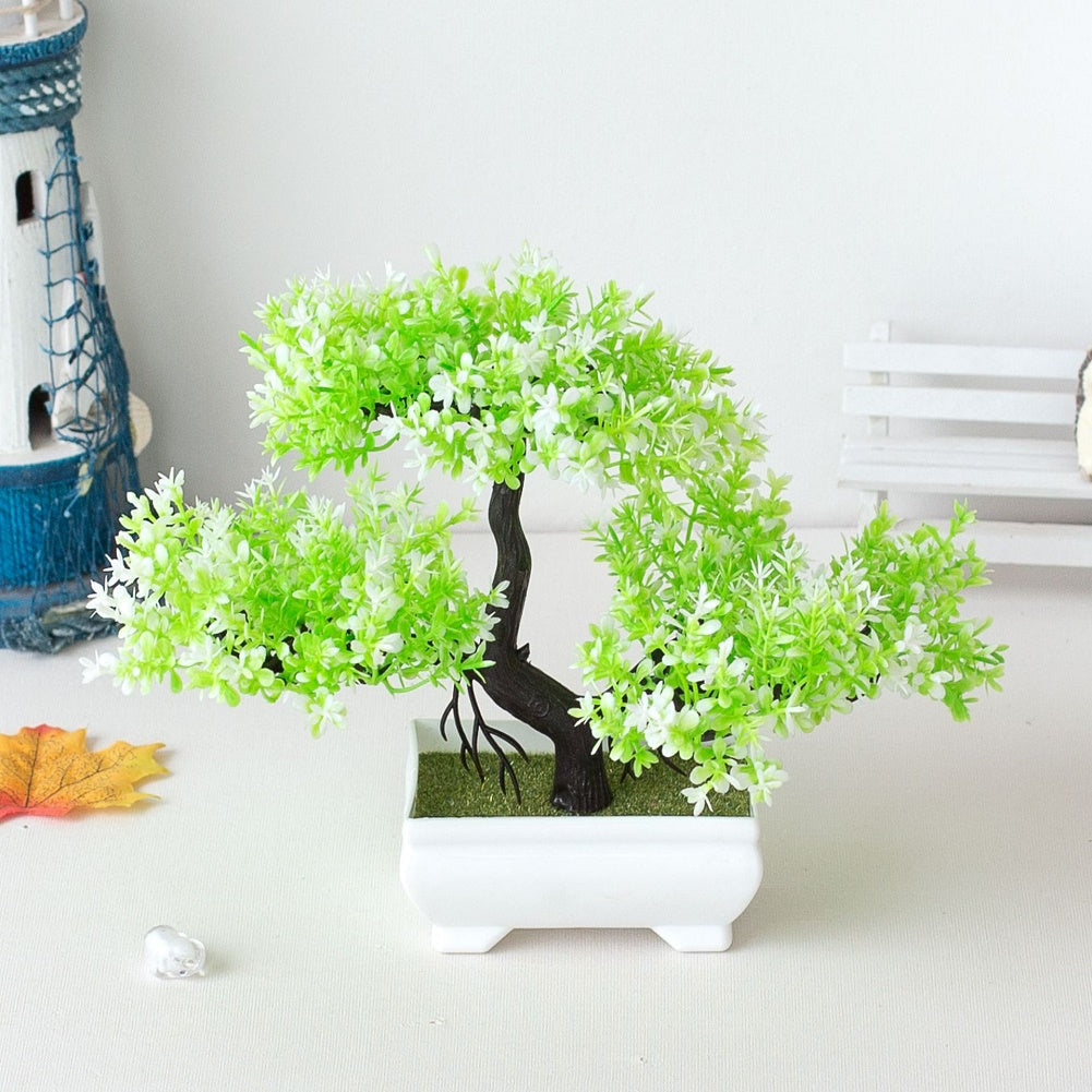 Hjemix | Plante Bonsai