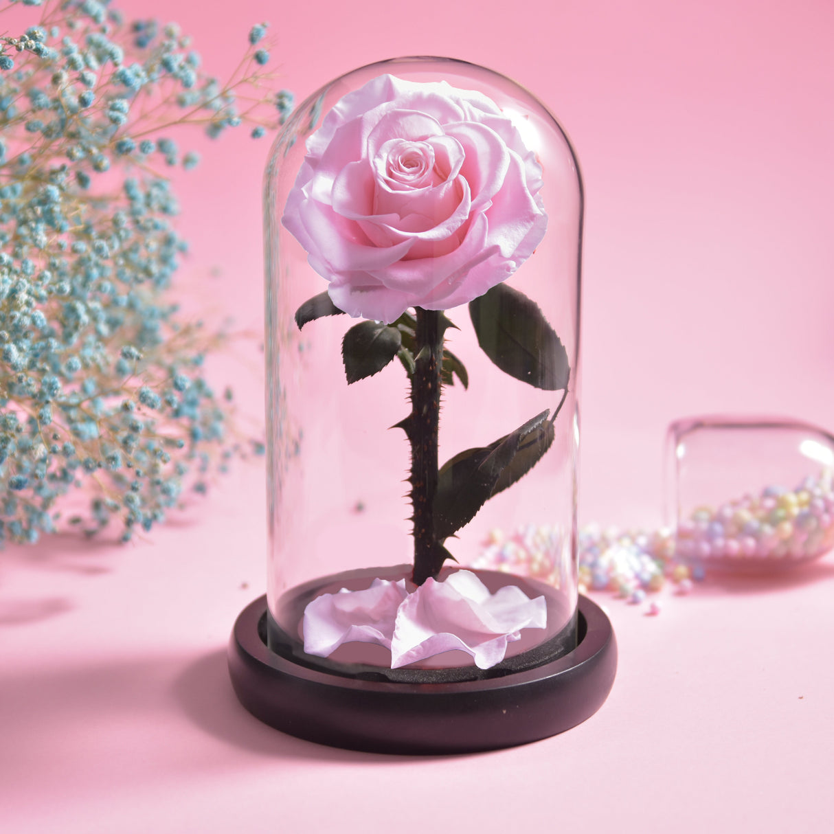Hjemix | Forever Rose – Evig rose i glasskuppel, 3 dager leveringstid – Rosa