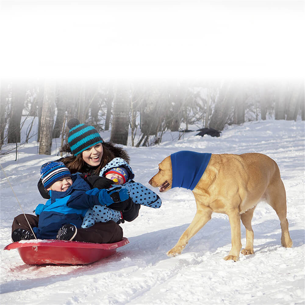 Hjemix | Dyreprodukter Hund Beroligende Hodebånd