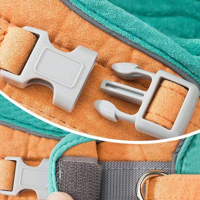 Hjemix | Katt Vest Og Belte Sett Kjæledyr Taksjons Tau