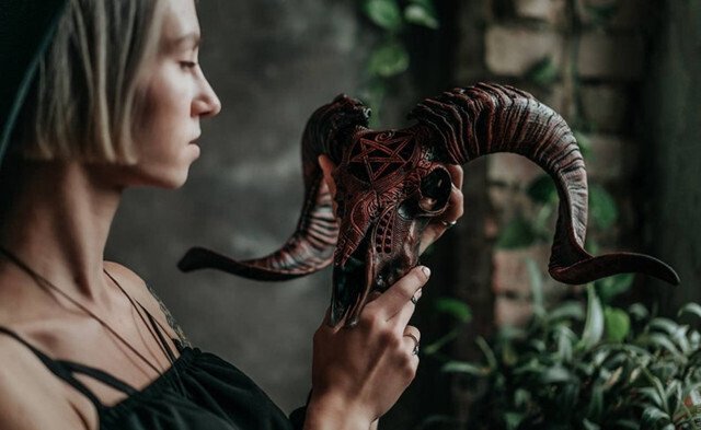 Hjemix | Uskåret værhode