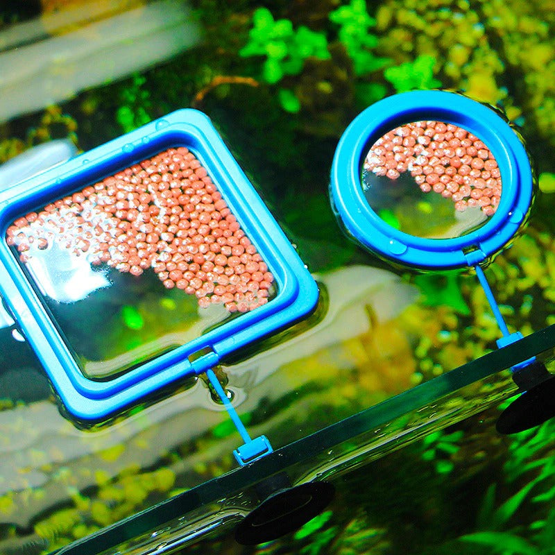 Hjemix | Akvarium mating ring
