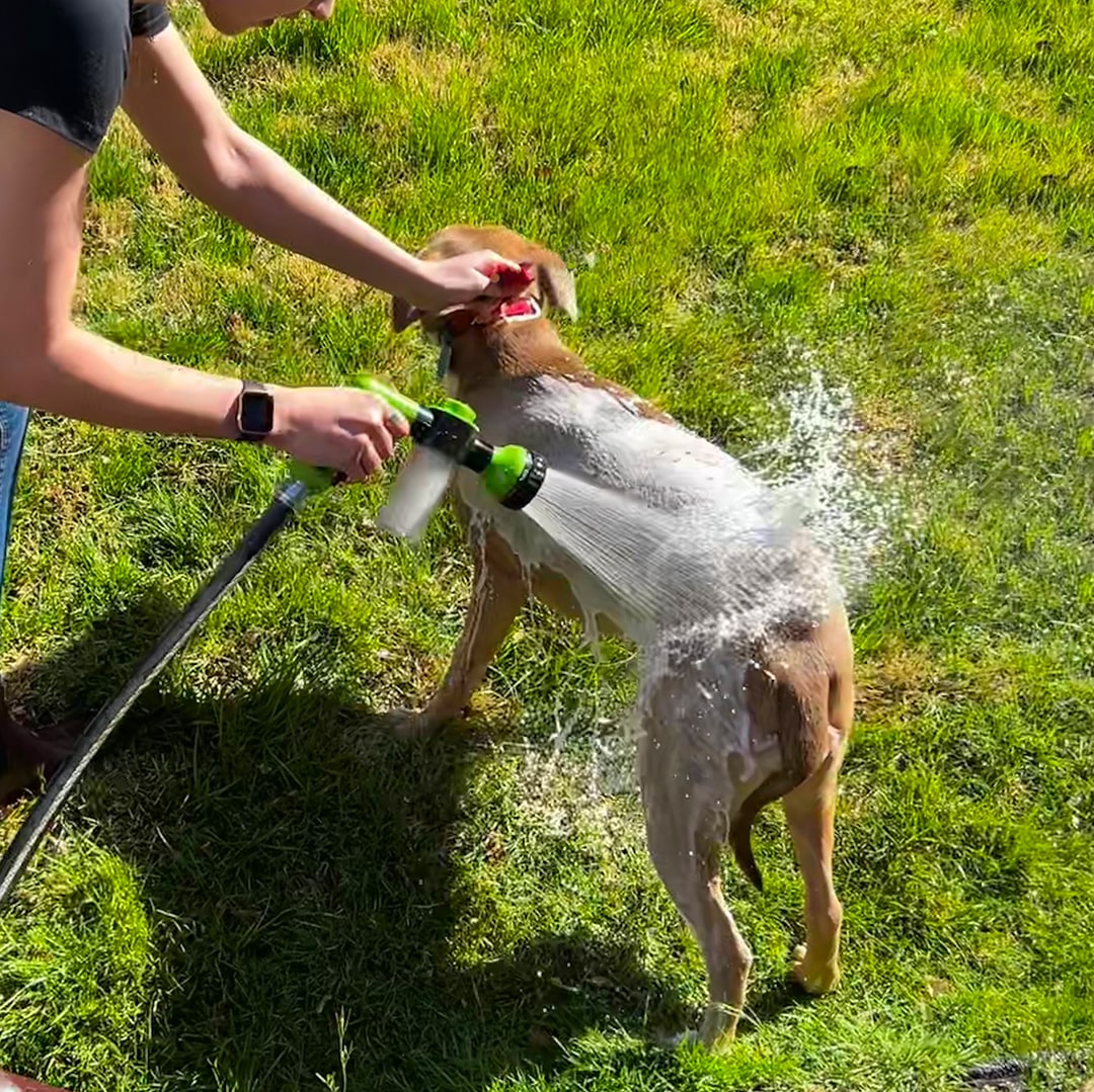 Hjemix | Hundefor dusj sprayer - WashBuddy