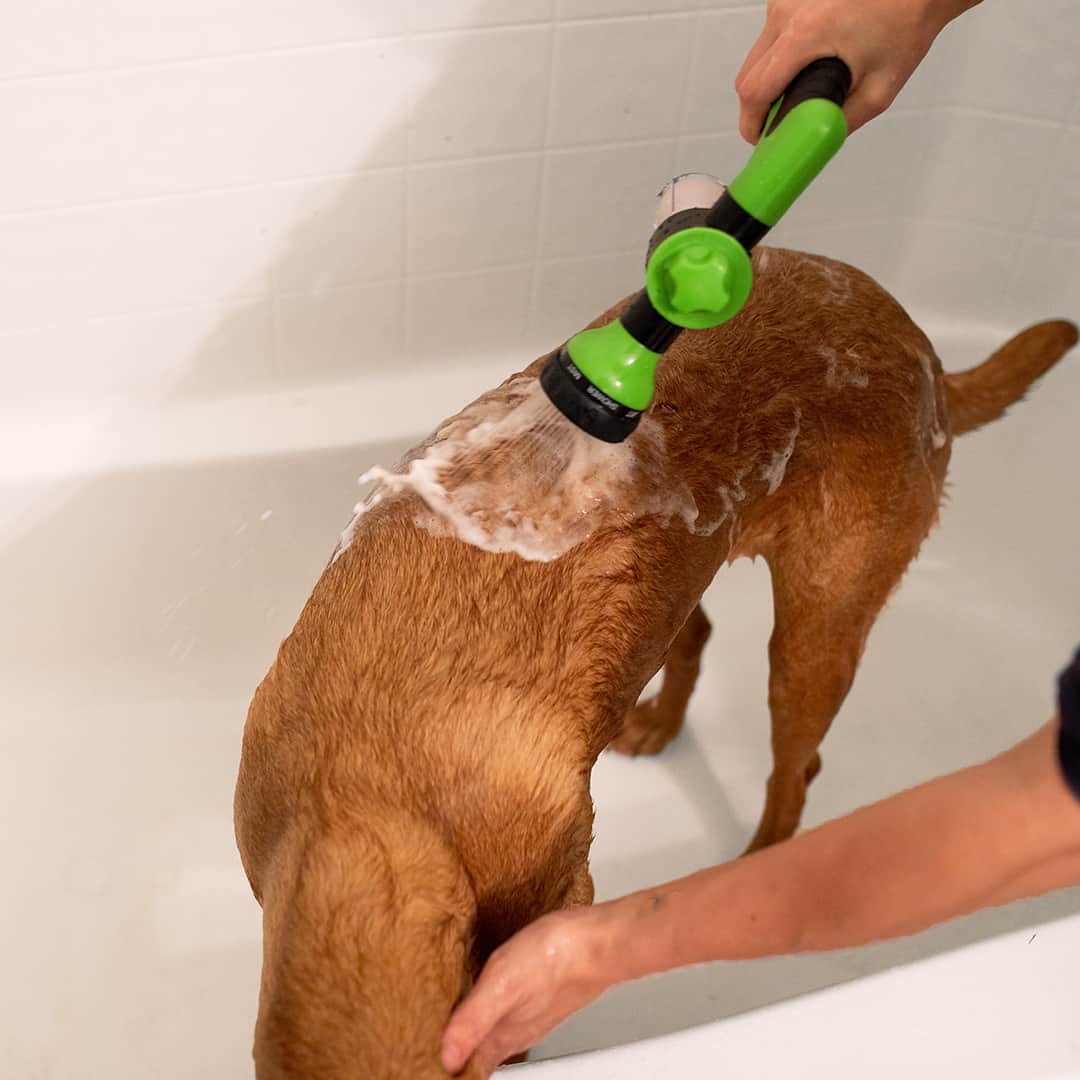 Hjemix | Hundefor dusj sprayer - WashBuddy