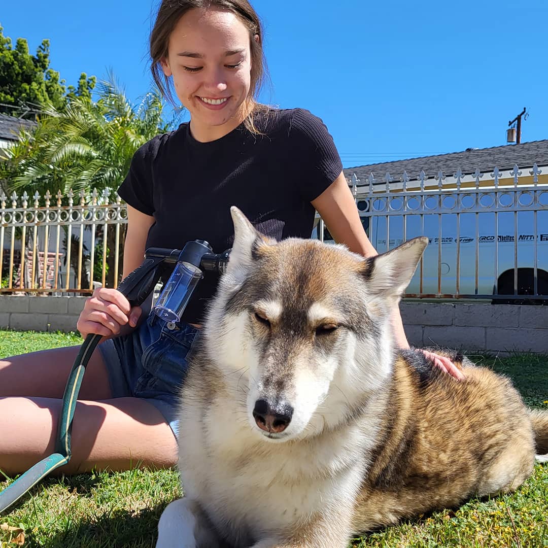 Hjemix | Hundefor dusj sprayer - WashBuddy