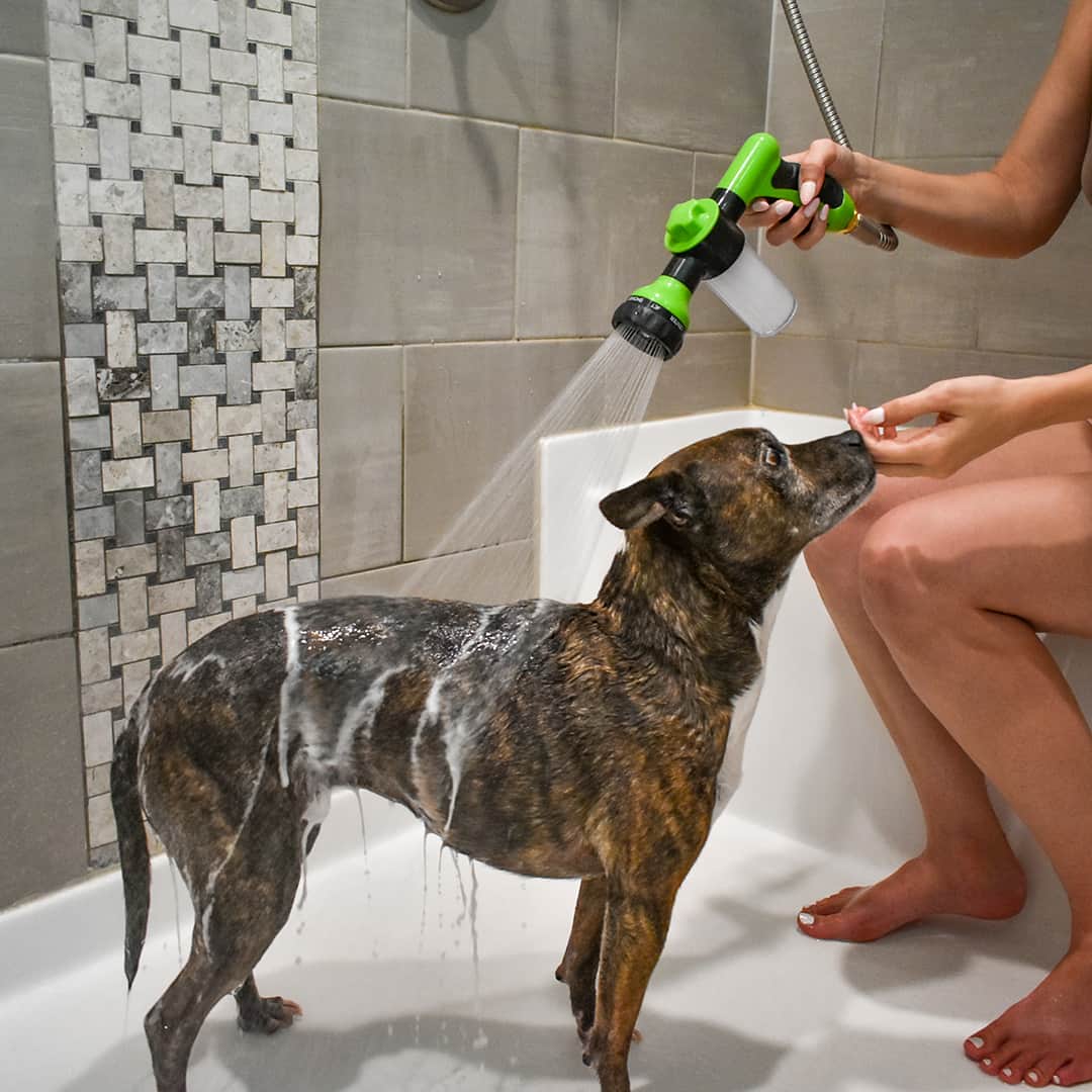 Hjemix | Hundefor dusj sprayer - WashBuddy