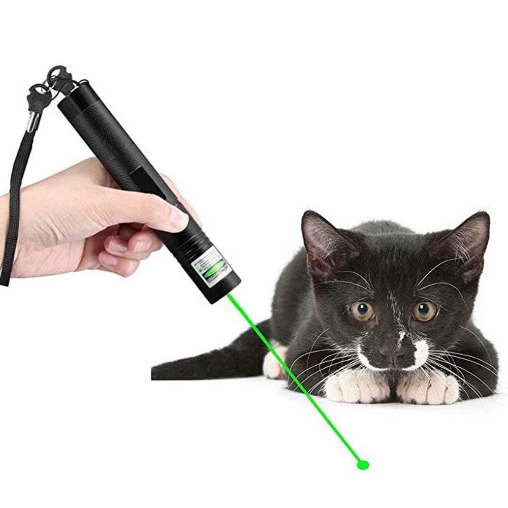 Hjemix | Høyytelses Laserpointer 303