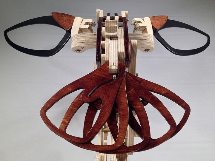Hjemix | 3D Tre Mekanisk Kolibri og Tre Mekanisk Skilpadde