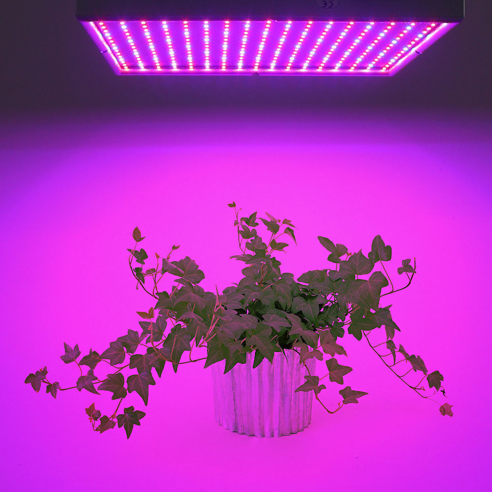 Hjemix | Grow Light Lampe