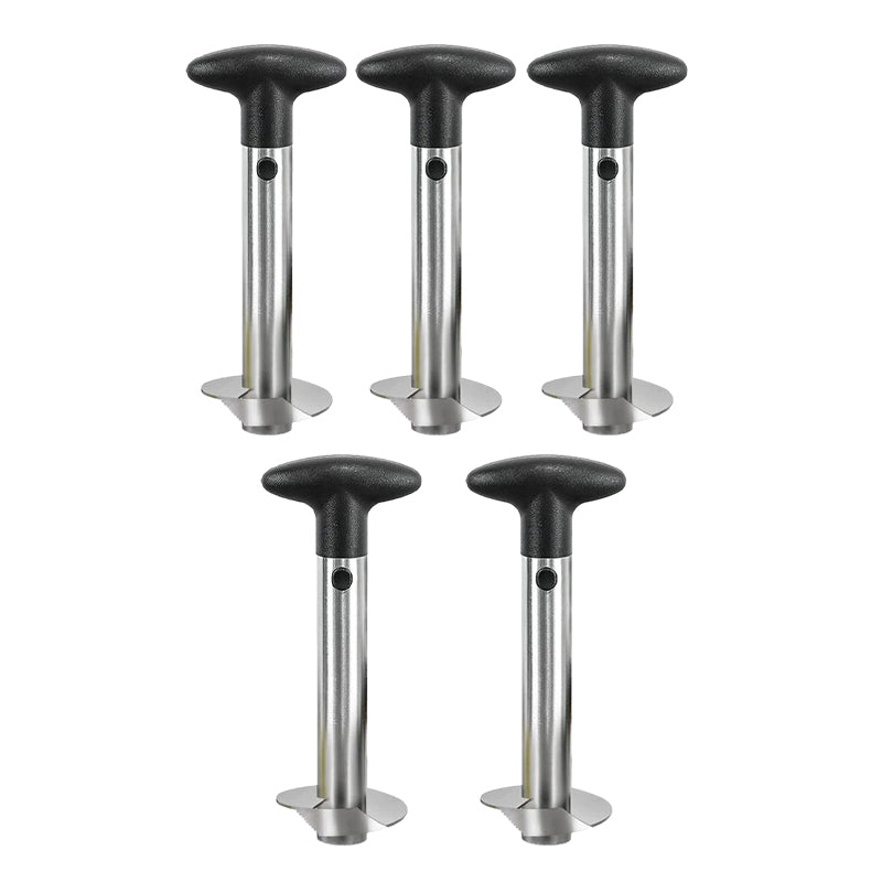 Hjemix | Ananas utstikker & skiver