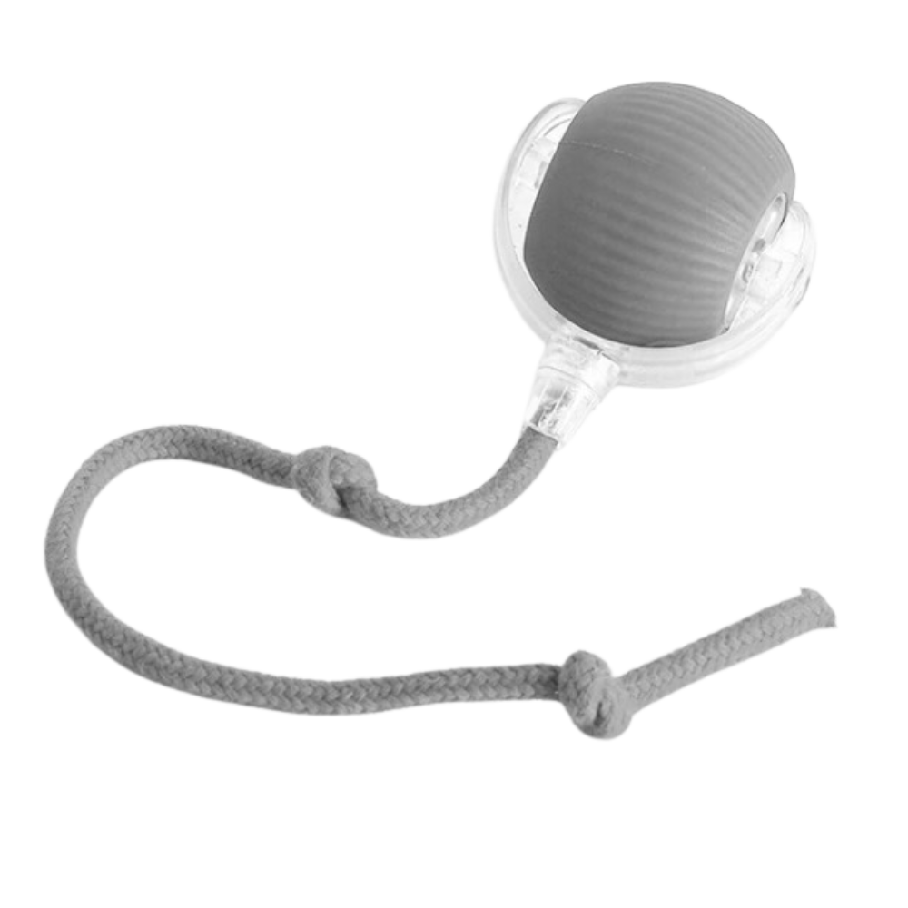 Smart, Interaktiv Katteball-Leke