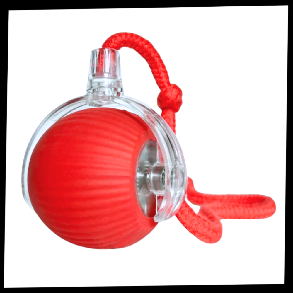 Smart, Interaktiv Katteball-Leke