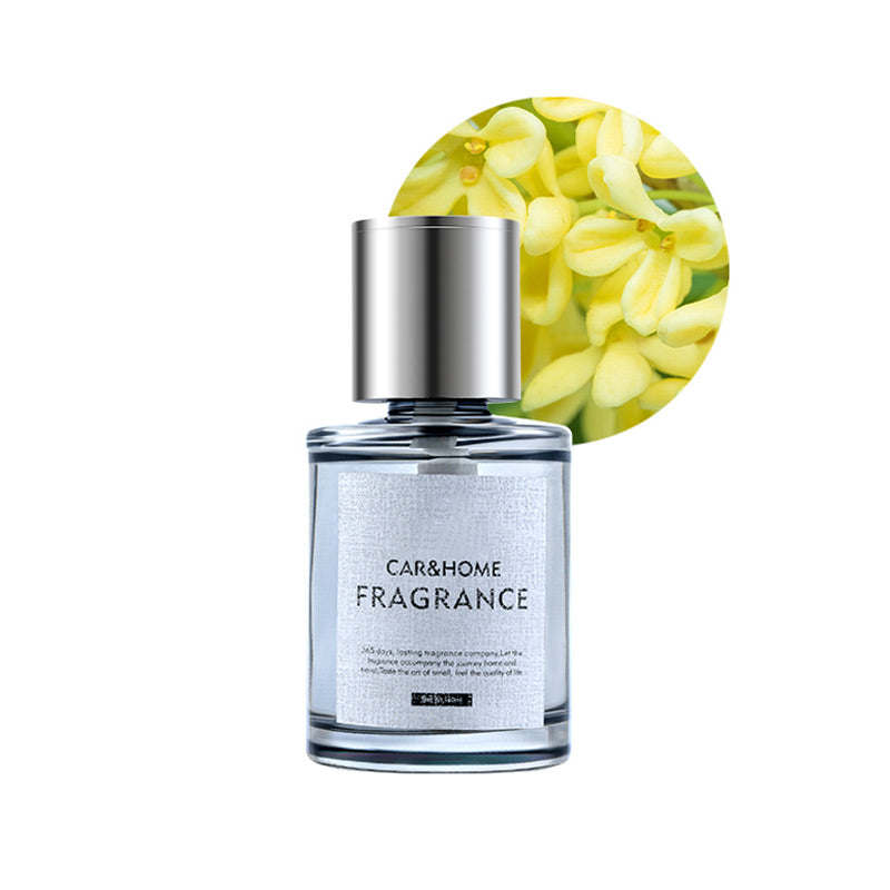 Hjemix | Smart Ultrasonisk Spray Luftrenser til Bilen - 5 Trinn Justering og Automatisk På/Av