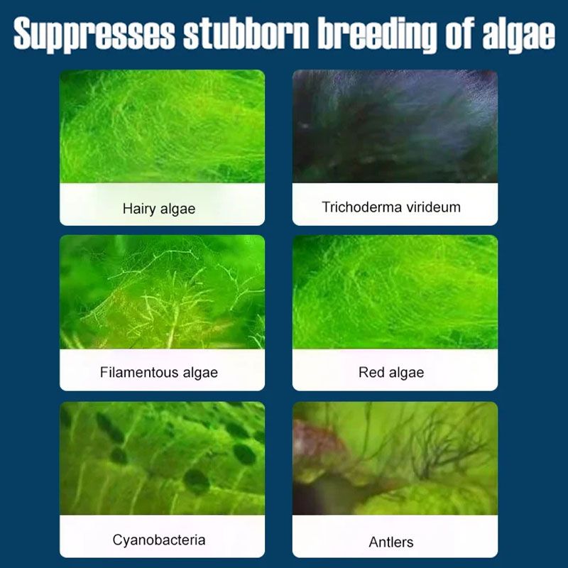 Hjemix | Fiskekar Vannrenser Algefjerner