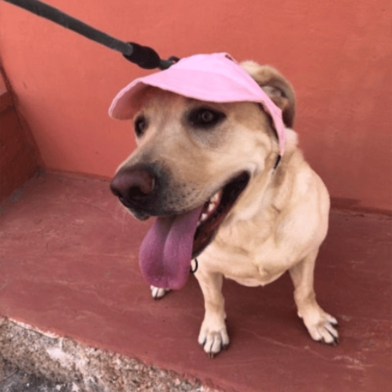Hjemix | Hundehatt