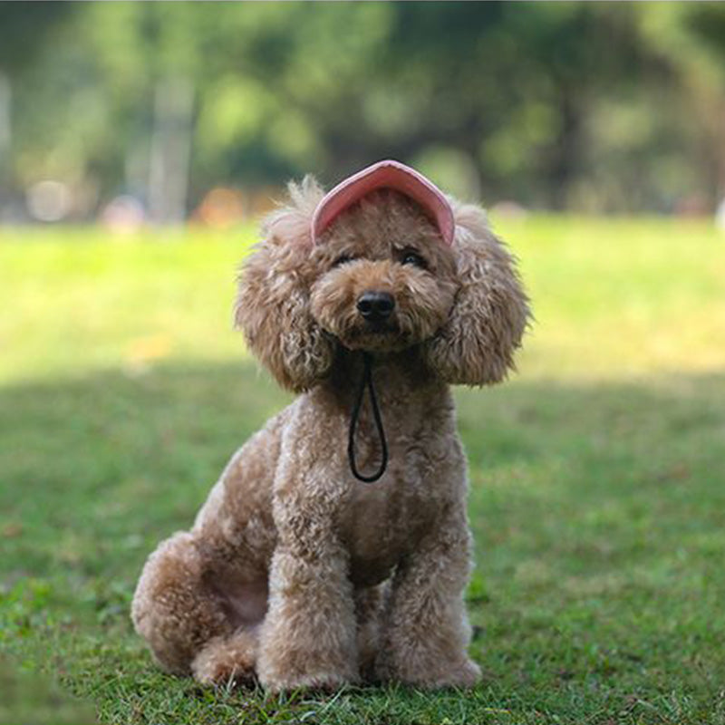 Hjemix | Hundehatt