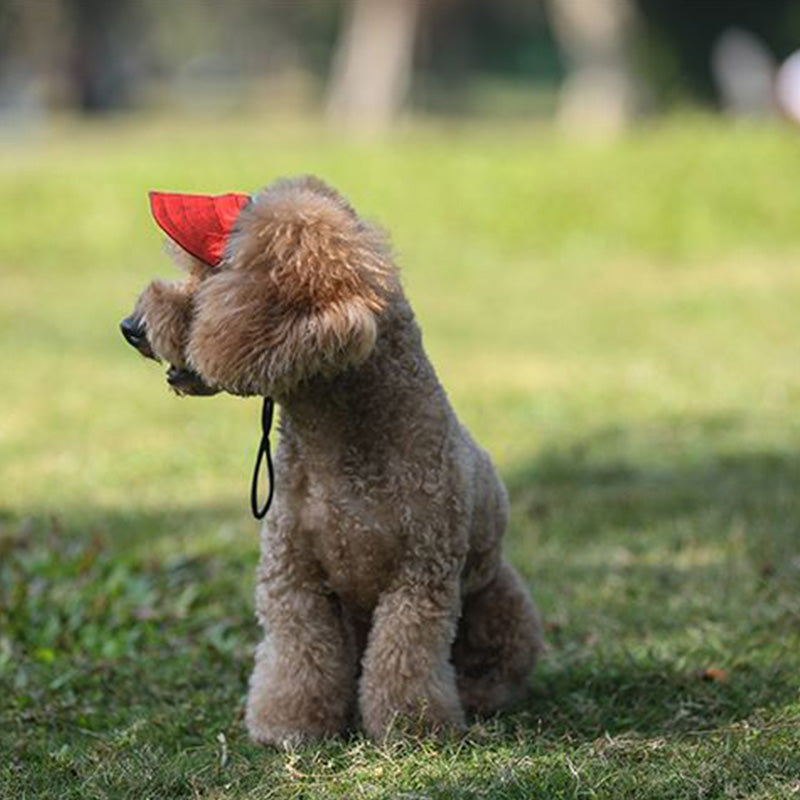 Hjemix | Hundehatt