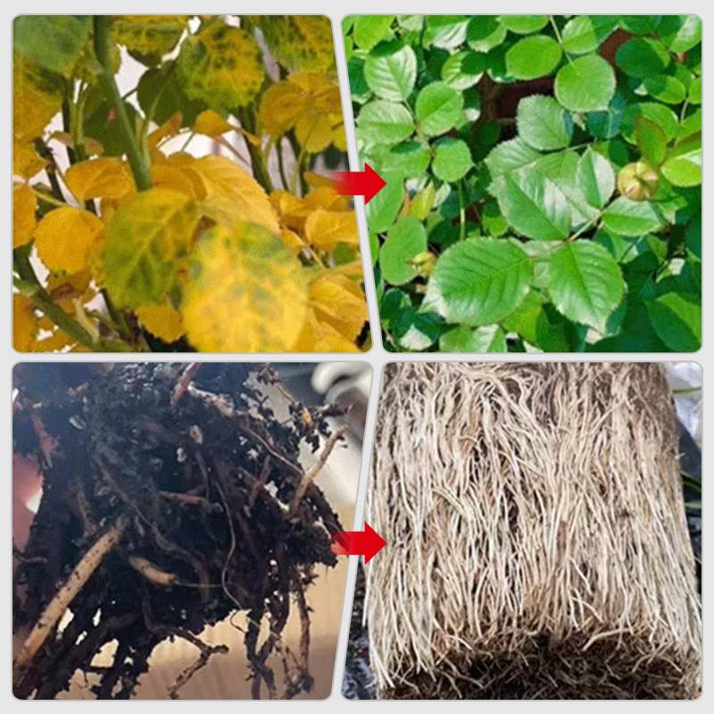 Hjemix | Raskt virkende næringsløsning for planter