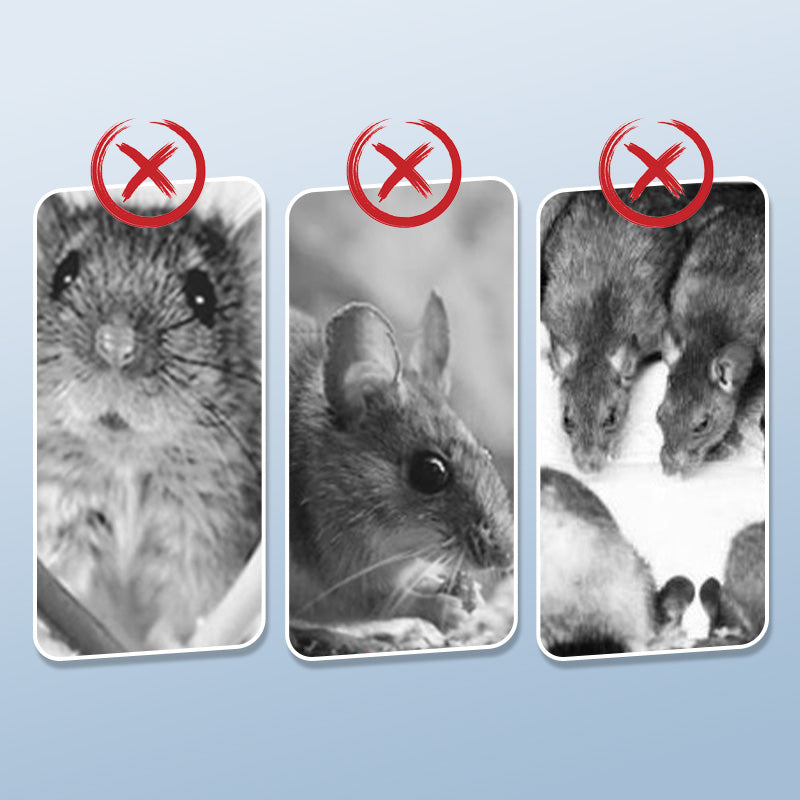 Hjemix | 🔥 Kraftig musefelle med høy sensitivitet