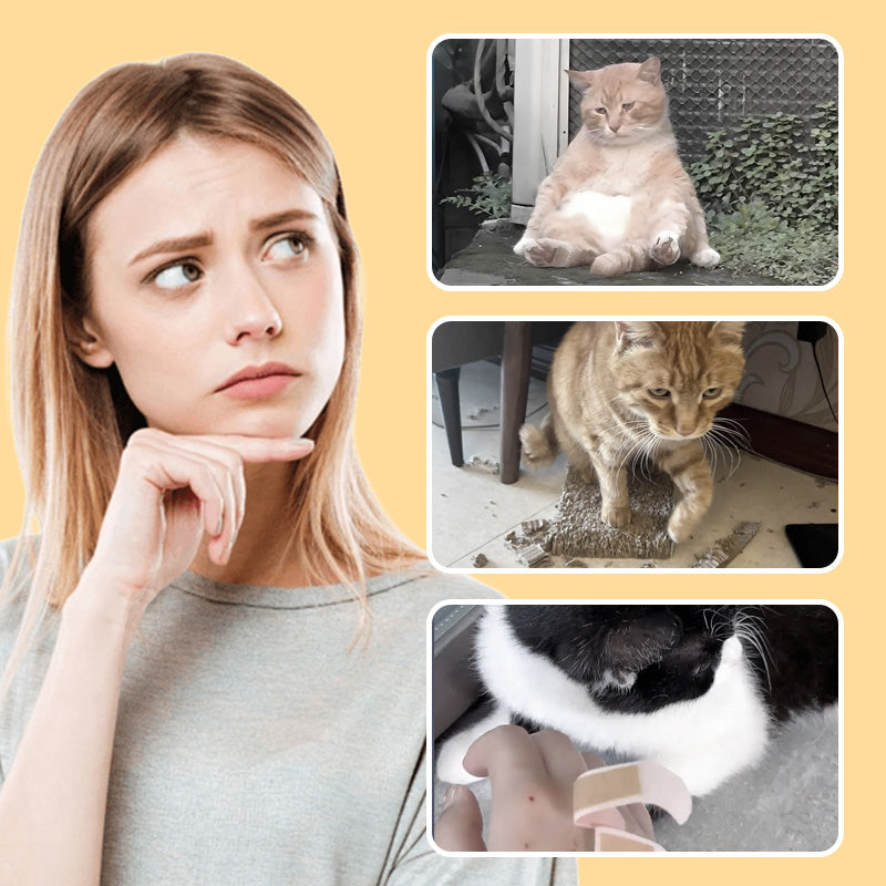 Hjemix | Muselek leker for katter og hunder