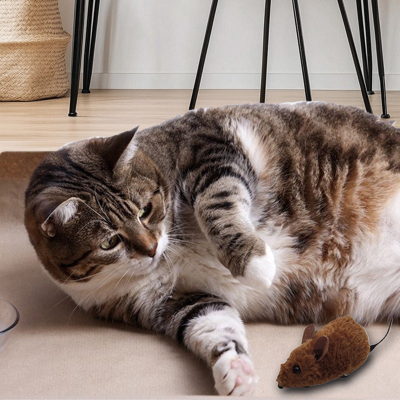 Hjemix | Muselek leker for katter og hunder