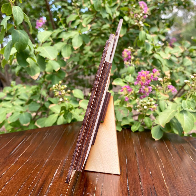 Hjemix | Sjekk ut denne bilde rammen