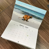 Hjemix | Pooping Pooches Hundekalender