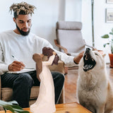 Hjemix | Engelen av vennskap hund monument figur figurine