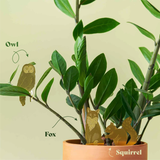 Hjemix | Plant Dyr Dekorasjoner