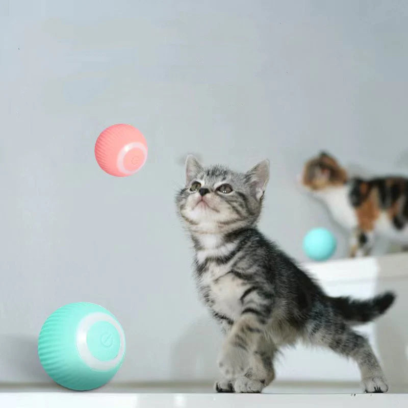 Hjemix | Smart Cat Interaktive Ball Leketøy