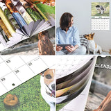 Hjemix | Poopende Hunder Hundekalender