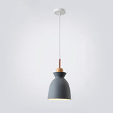 Hjemix | AuroraLite Nordic Pendant Lamp | Metal Design | 1-Light | Modern Color Options