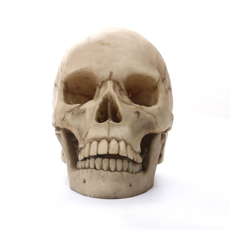 Hjemix | 1:1 Menneskeskalle Statue for Hjemmedekorasjon Harpiksfigurer Halloween Dekorasjon Skulptur Medisinsk Undervisning Skissemodell Håndverk