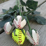 Hjemix | Sport Lærrose