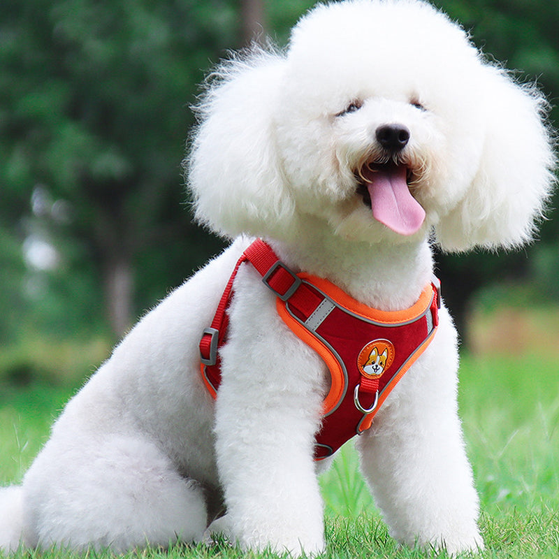 Hjemix | Reflekterende kjæledyrsele og båndsett