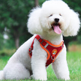 Hjemix | Reflekterende kjæledyrsele og båndsett