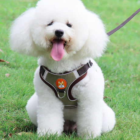 Hjemix | Reflekterende kjæledyrsele og båndsett