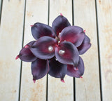 Hjemix | 10 marineblå Calla lilje PU Real Touch blomster bryllupsdekorasjon buketter borddekorasjon kunstige blomster hjemmedekor