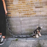 Hjemix | Morsom Stor Hundekrage