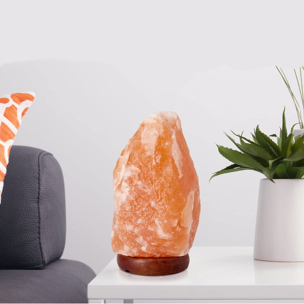 Hjemix | Himalayasaltlampe med dimmerbryter
