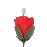 Hjemix | Fire Magic Trick Flamme