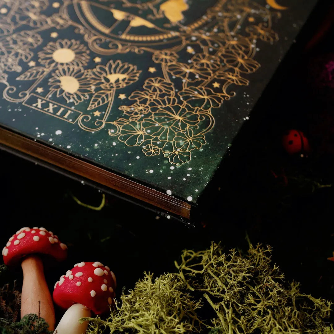 Hjemix | Wonderland Journal