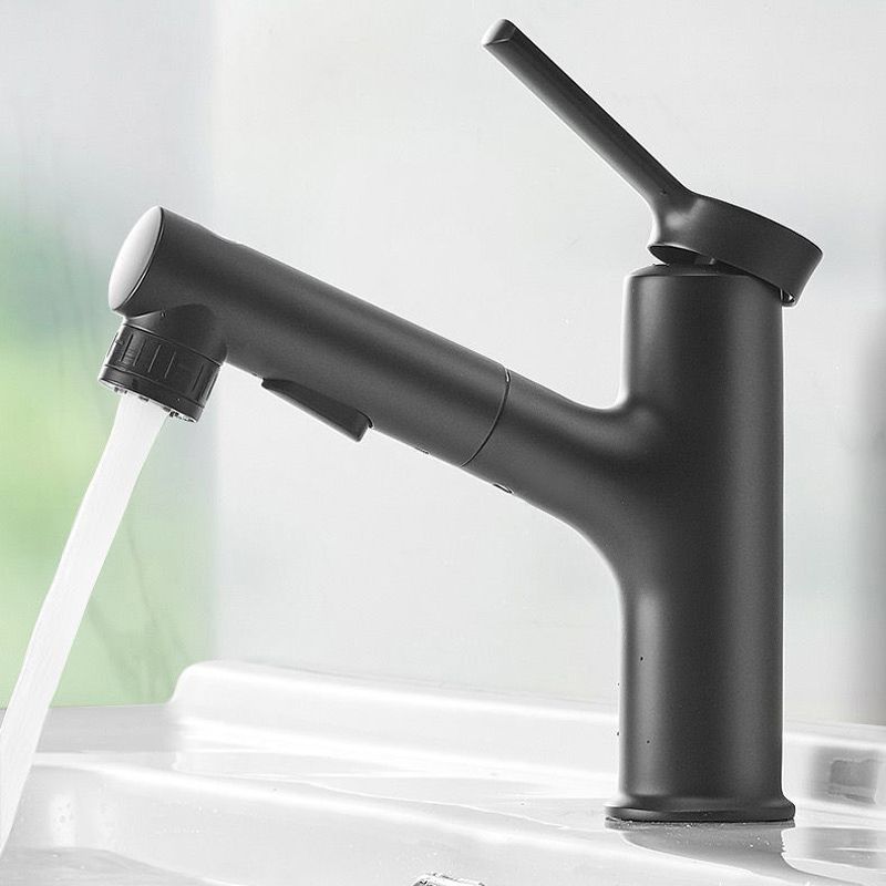 Hjemix | Moderne Design Badkran Enkelt Håndtak Blandebatteri med Vannslange