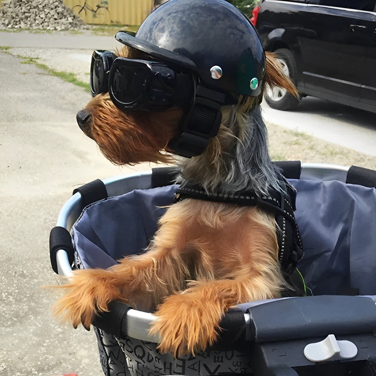 Hjemix | Motorsykkelhjelm og briller for hunder – Trendy og trygt