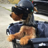 Hjemix | Motorsykkelhjelm og briller for hunder – Trendy og trygt