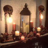 Hjemix | Horror Skull med Spine Lampe