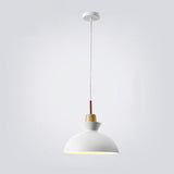Hjemix | AuroraLite Nordic Pendant Lamp | Metal Design | 1-Light | Modern Color Options