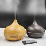 Hjemix | 500Ml Diffuser