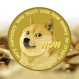 Hjemix | UV Farge Trykk Dogecoin Minnemynt